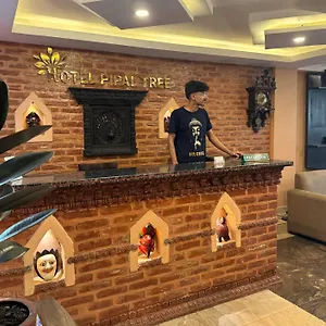 https://pipal-tree.hotels-kathmandu.com